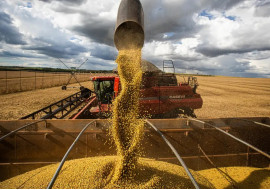 preco-dos-alimentos.jpg