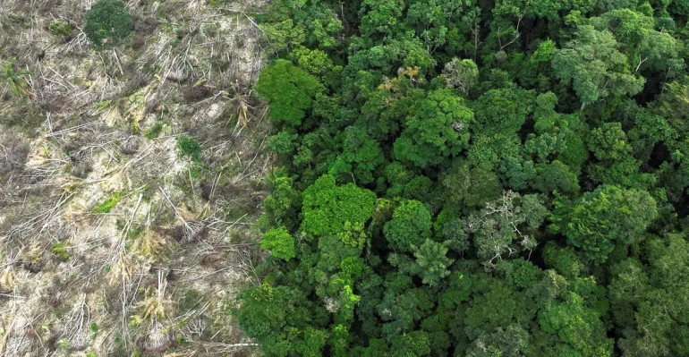 amazonia_desmatamento_1.jpg