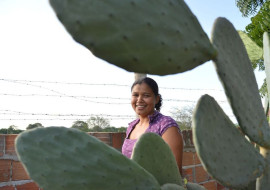 971230-o-caminho-das-margaridas.jpg
