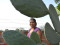 971230-o-caminho-das-margaridas.jpg
