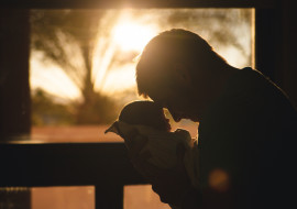 stocksnap-baby-2616673.jpg